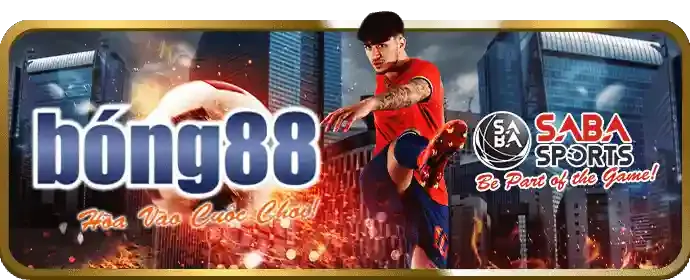 An toàn và trách nhiệm cá cược Kimsa